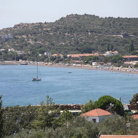 Assos Mitillini Hotel *