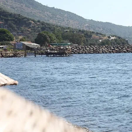 Assos Mitillini *