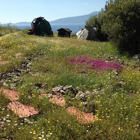 Assos Mitillini *