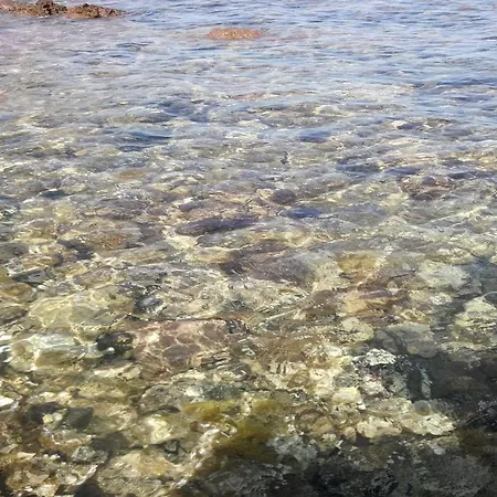 Assos Mitillini * Sokakagzi