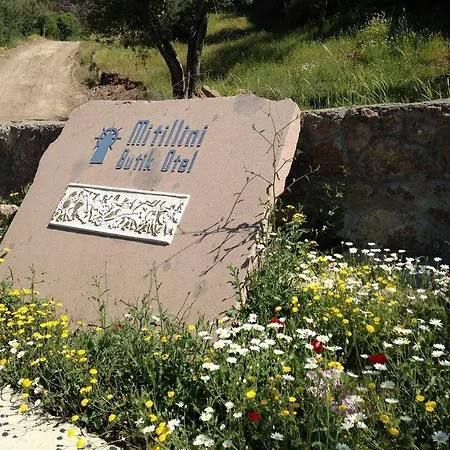 Assos Mitillini *