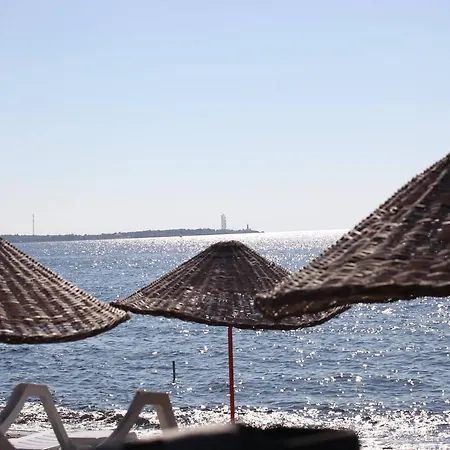 Assos Mitillini * Sokakagzi