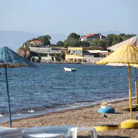 Assos Mitillini *