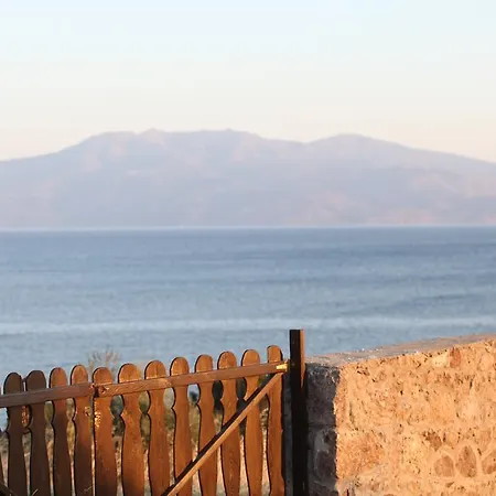 Assos Mitillini *