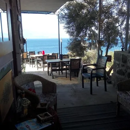 Assos Mitillini Hotel Sokakagzi