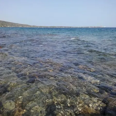 Assos Mitillini