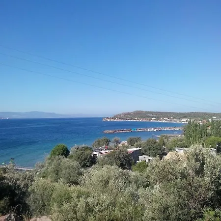 Hotel Assos Mitillini *