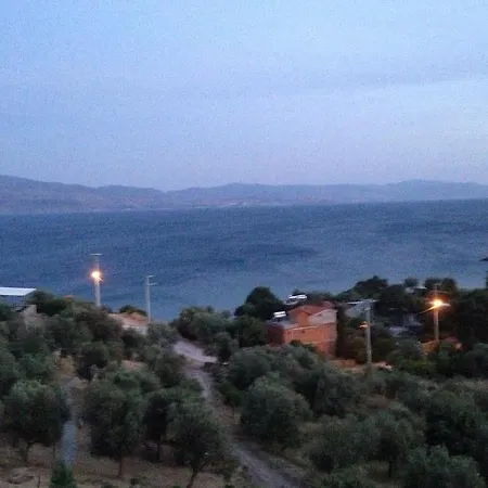 Assos Mitillini Hotel *